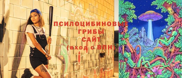 мяу мяу мука Бугульма