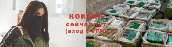 мяу мяу мука Бугульма