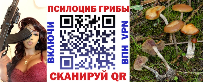Псилоцибиновые грибы мицелий МЕГА tor Палласовка